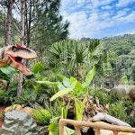 Parque dos Dinossauros - Aventura Jurássica